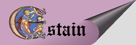 Logo ESTAIN,return to home page